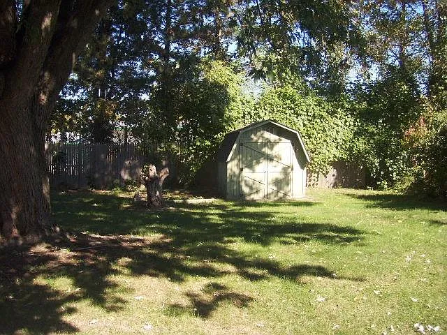 Backyard with Shed