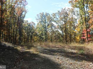 6.75 Acres Canyon Crk, Wardensville, WV 26851
