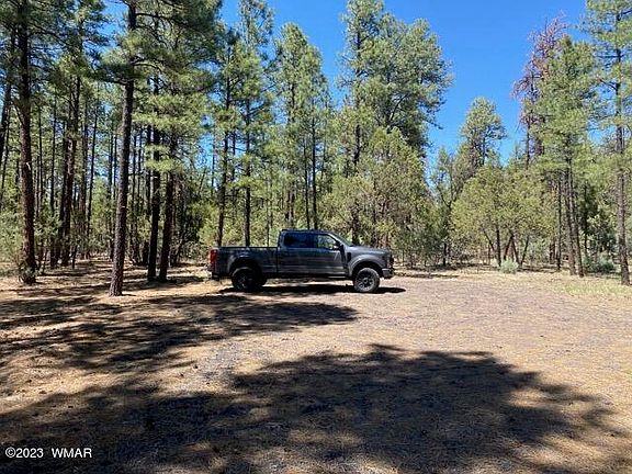 5th image of Rim Spur Cir