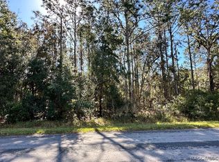 516 W National St, Hernando, FL 34442