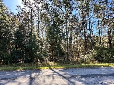 516 W National St, Hernando, FL, 34442