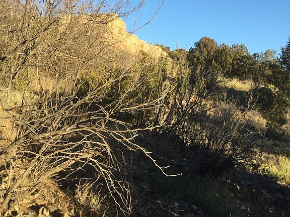 5th image of Cottonwood Cir
