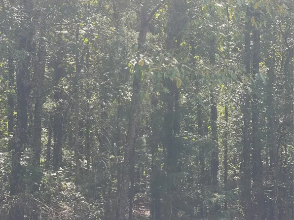 0 Ferry Lake Rd, Oil City, LA 71061