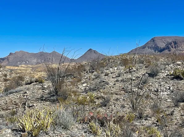 Township Road 2687 Hermans Peak Rd, Terlingua, TX 79852