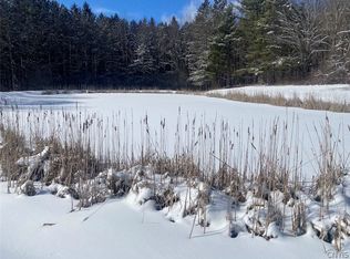 W Hill Rd, Belfast, NY 14711