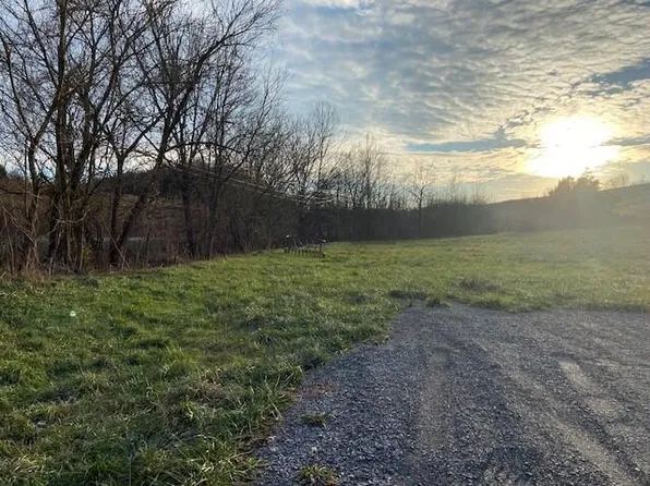 1121 Fronks Ln, Brooksville, KY 41004