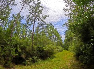 Sones Chapel Rd, Carriere, MS 39426
