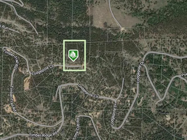 32593 Lodgepole Drive, Evergreen, CO 80439