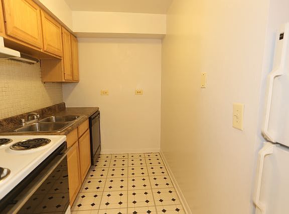4th image of 541 W Briar Pl APT 410