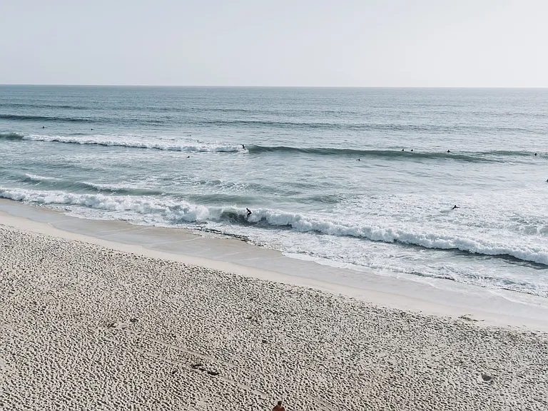 Triton Encinitas — Photo 39