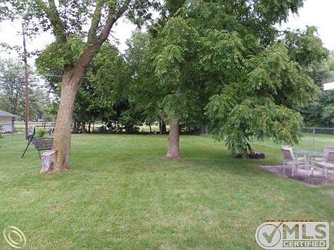 692 Lincoln back yard.JPG