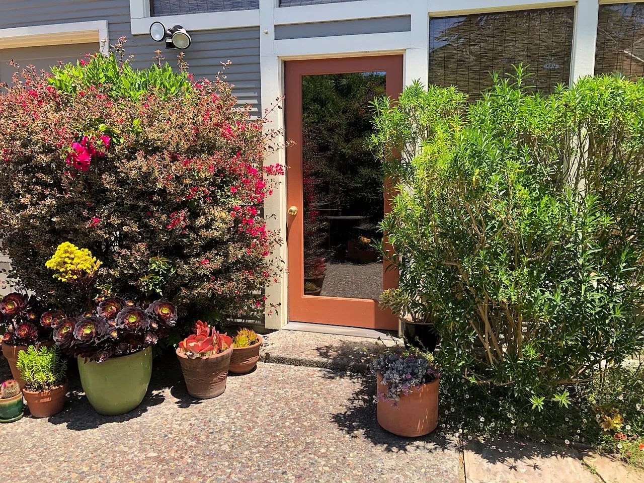2 bed, 1450 sqft, $4,000 — Photo 2