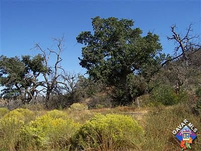 2nd image of 0 Pine Canyon Rd