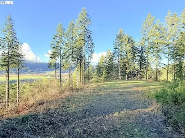 Alder Branch Rd, Springfield, OR 97478