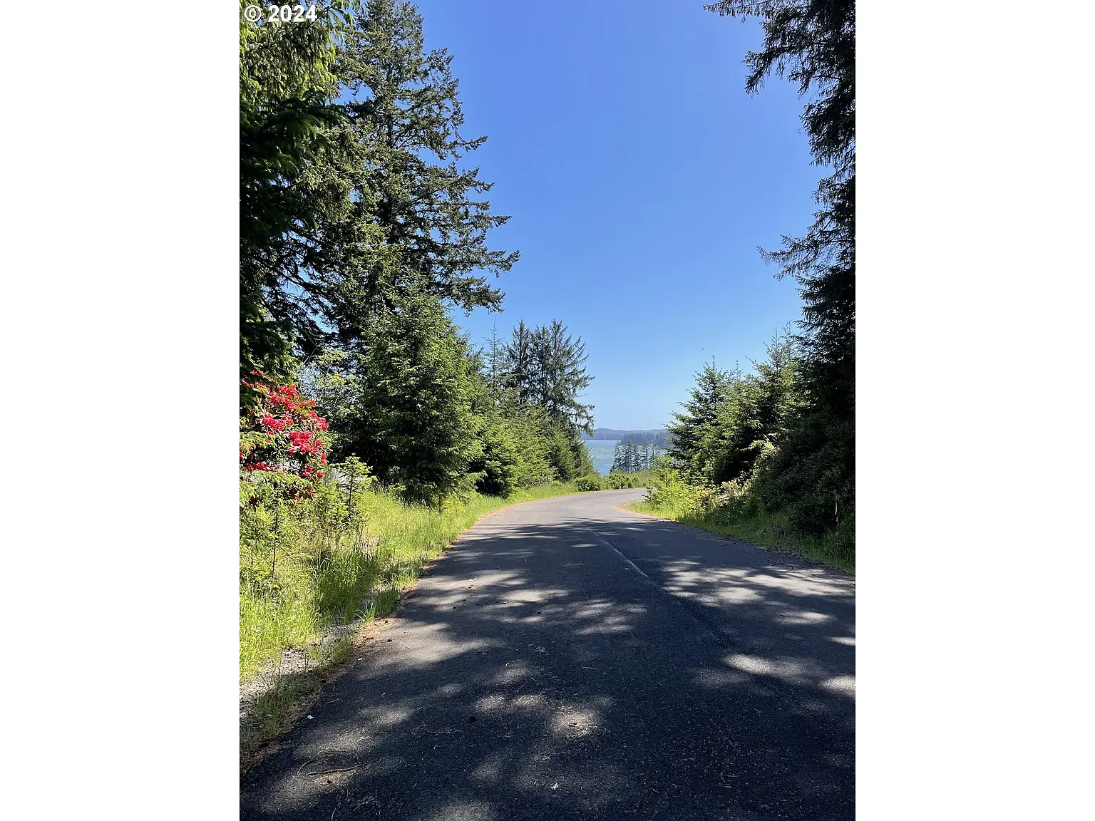 83615 Clear Lake Rd #10 photo 1