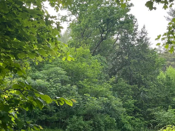 L12.14 Thunder Way, Hebron, NY 12865