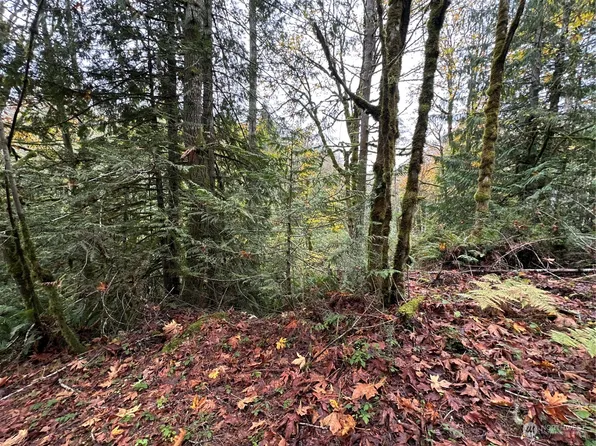 40 XX Sand Dollar Road W, Bremerton, WA 98312