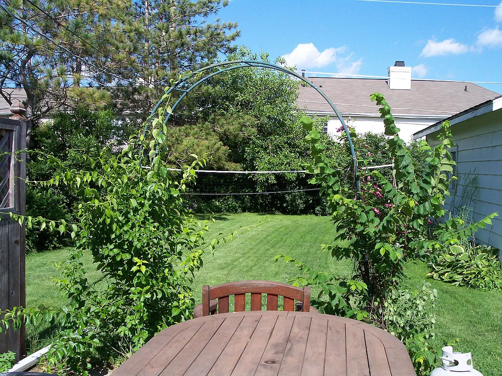 Property photo 5
