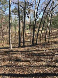 1840 Snug Harbor Dr, Greensboro, GA, 30642