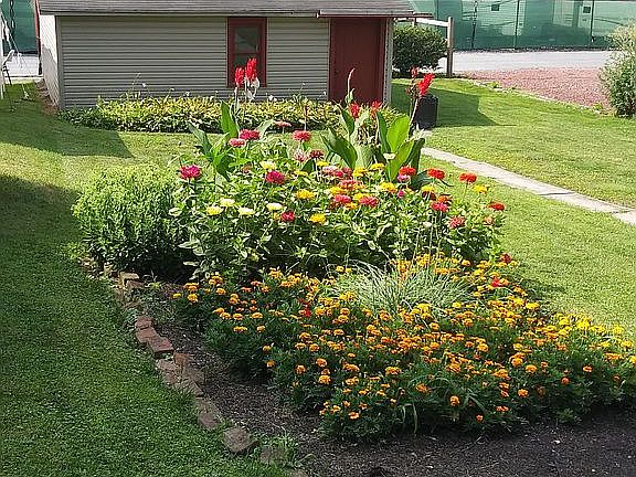 backyard garden and toolshed