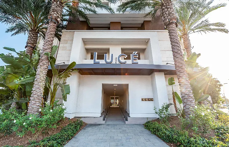 Luce — Photo 32