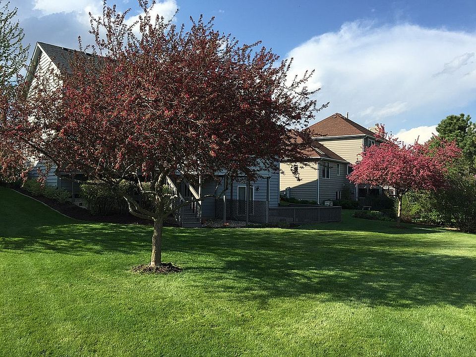Southeast facing backyard