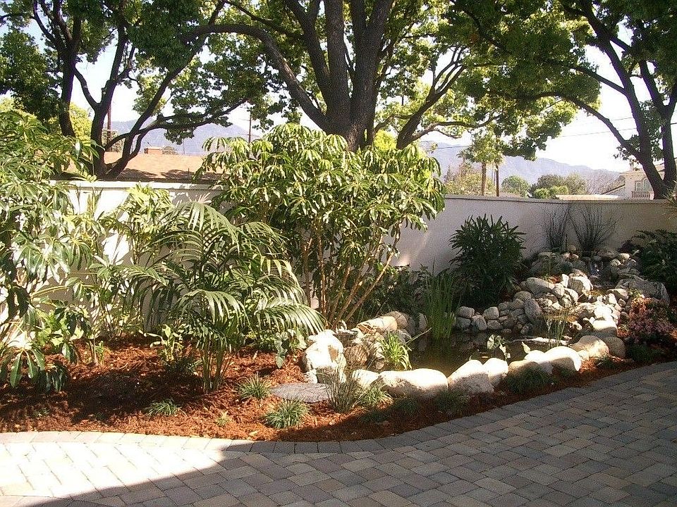 Koi Pond