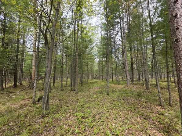 Vl 20 29 Monroe Ave, Grayling, MI 49738