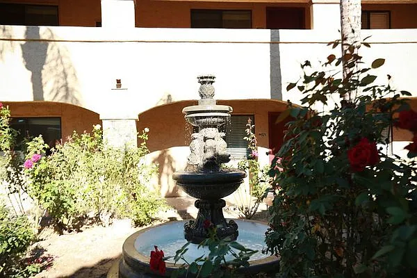 10134 W Mohawk Ln — Photo 34
