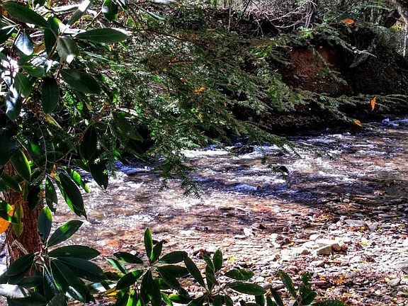 Bold Jonathan Creek in your backyard!