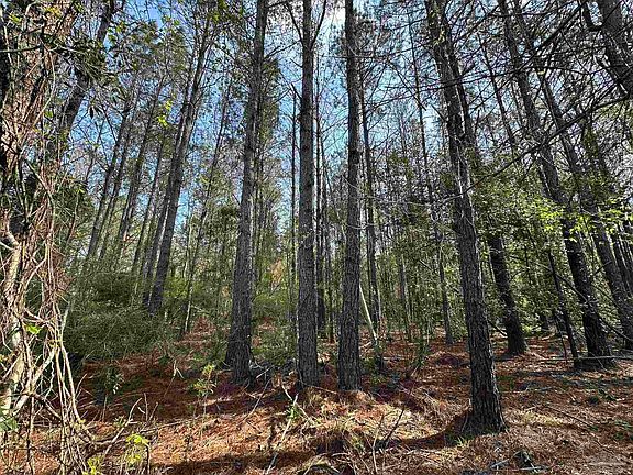 2nd image of Snyder Rd