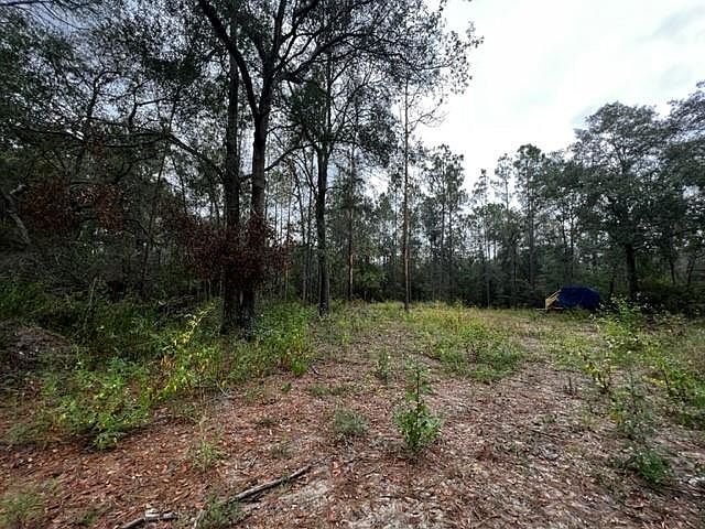 1st image of  NW 62nd Pl