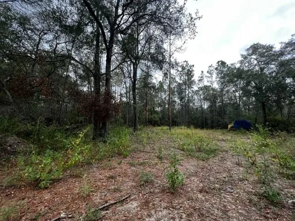  NW 62nd Pl, Bell, FL 32619