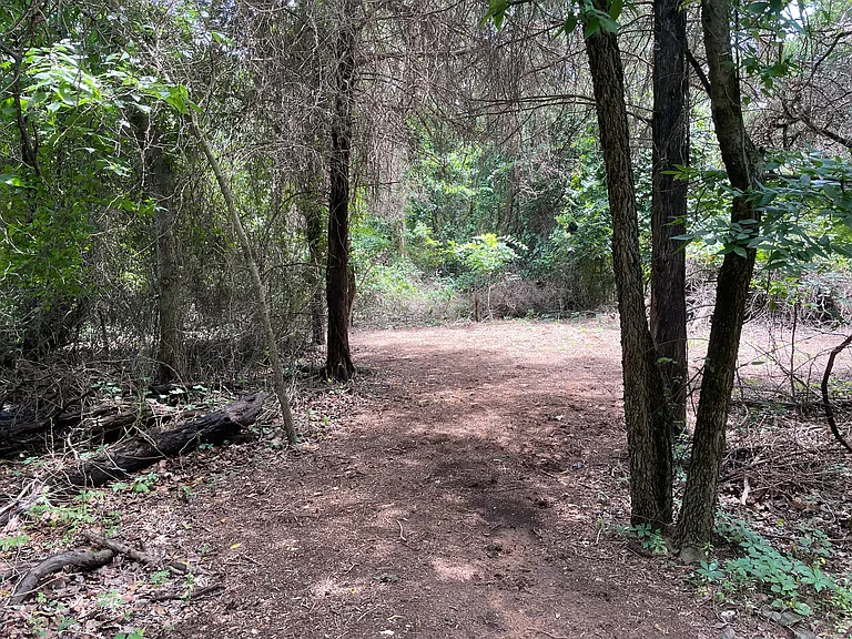 private walking trails (7)