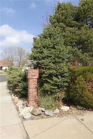 4305 W 110th Pl #1 — Photo 8
