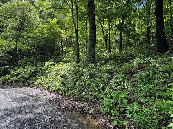 151 Tomahawk Trl, Winchester, VA 22602