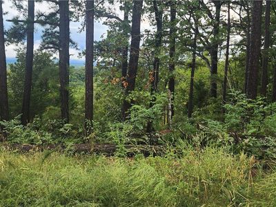 Rancho Vista Ln #3, Eureka Springs, AR, 72631