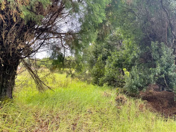 Liholiho St Lot 50, Volcano, HI 96785