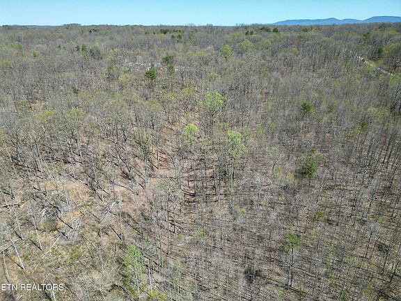 3rd image of Ridge Rd