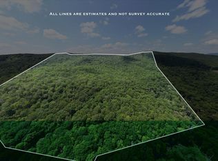 Tbd Halterman Hollow Ln, Monterey, VA 24465