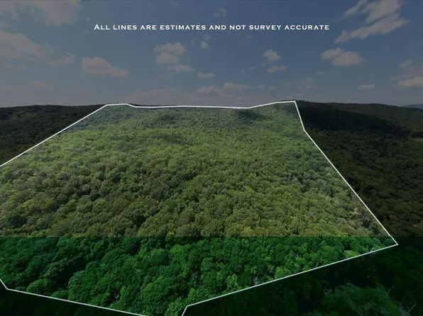 Tbd Halterman Hollow Ln, Monterey, VA 24465