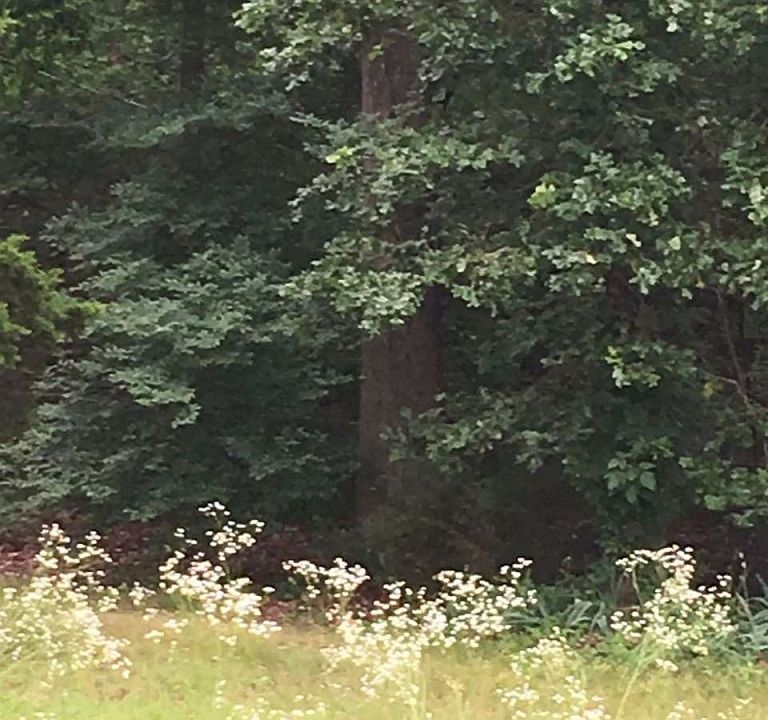 1st image of 701 Fm 991