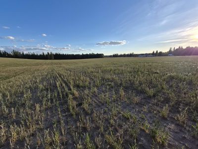 Nkn Allen Rd, Elk, WA, 99009