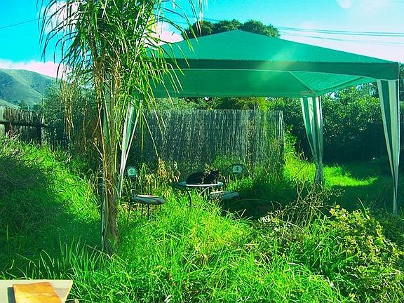 Before storage shed was moved