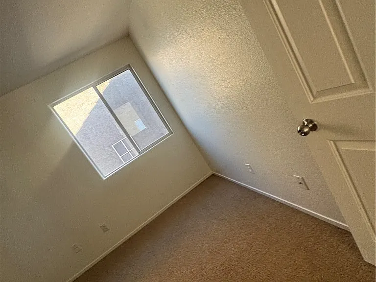 1703 Paradise Reef Ave — Photo 33