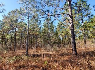 14 Powell Ln, Lumberton, MS 39455