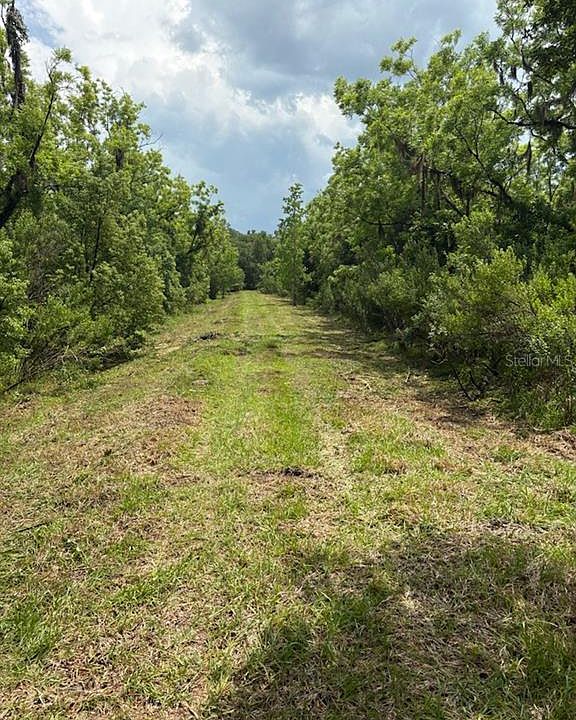 2nd image of 459 COUNTY ROAD 2006 E