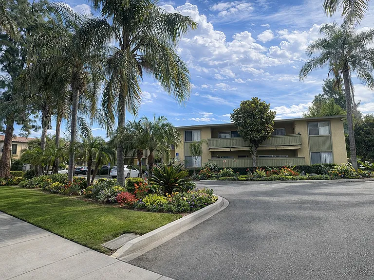 Palm Vista Apartments — Photo 12