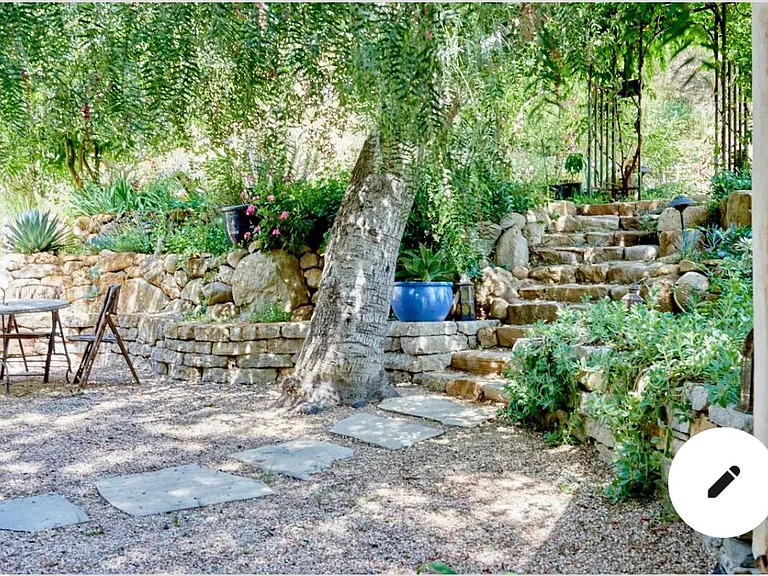 Front yard