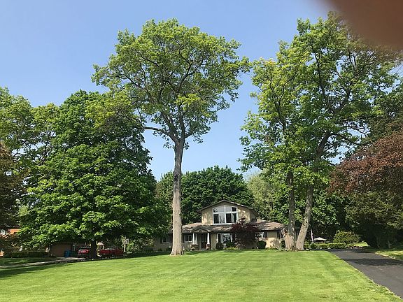 5th image of 4577 Driftwood Dr